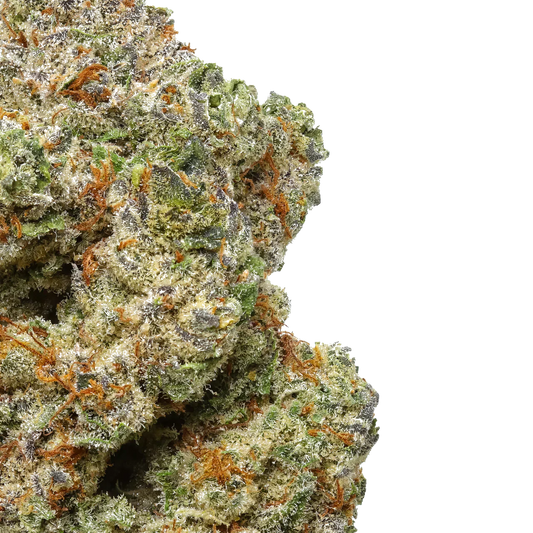 Close-up of frosty cannabis bud with orange hairs and green purple hues on white background