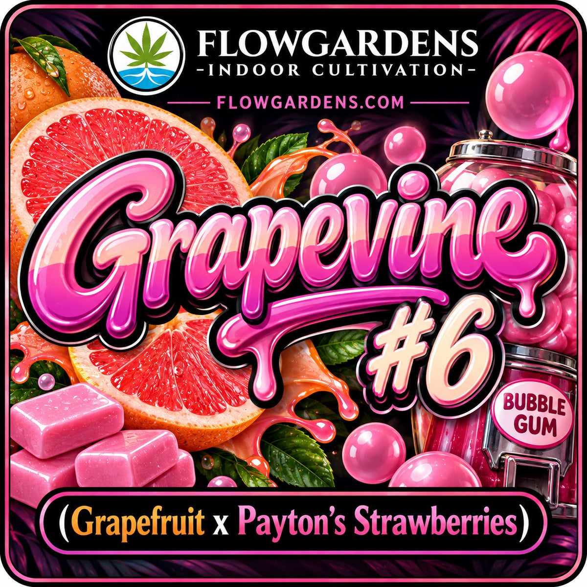 Grapevine #6 : CBD Small Batch