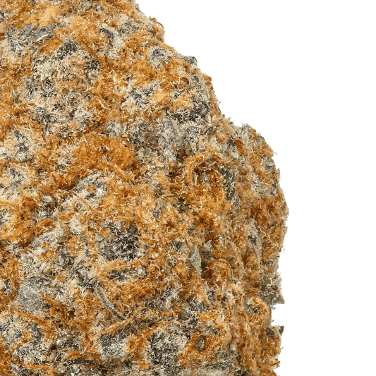 Close-up of Hawaiian Fantazoom cannabis flower with orange hairs and trichomes