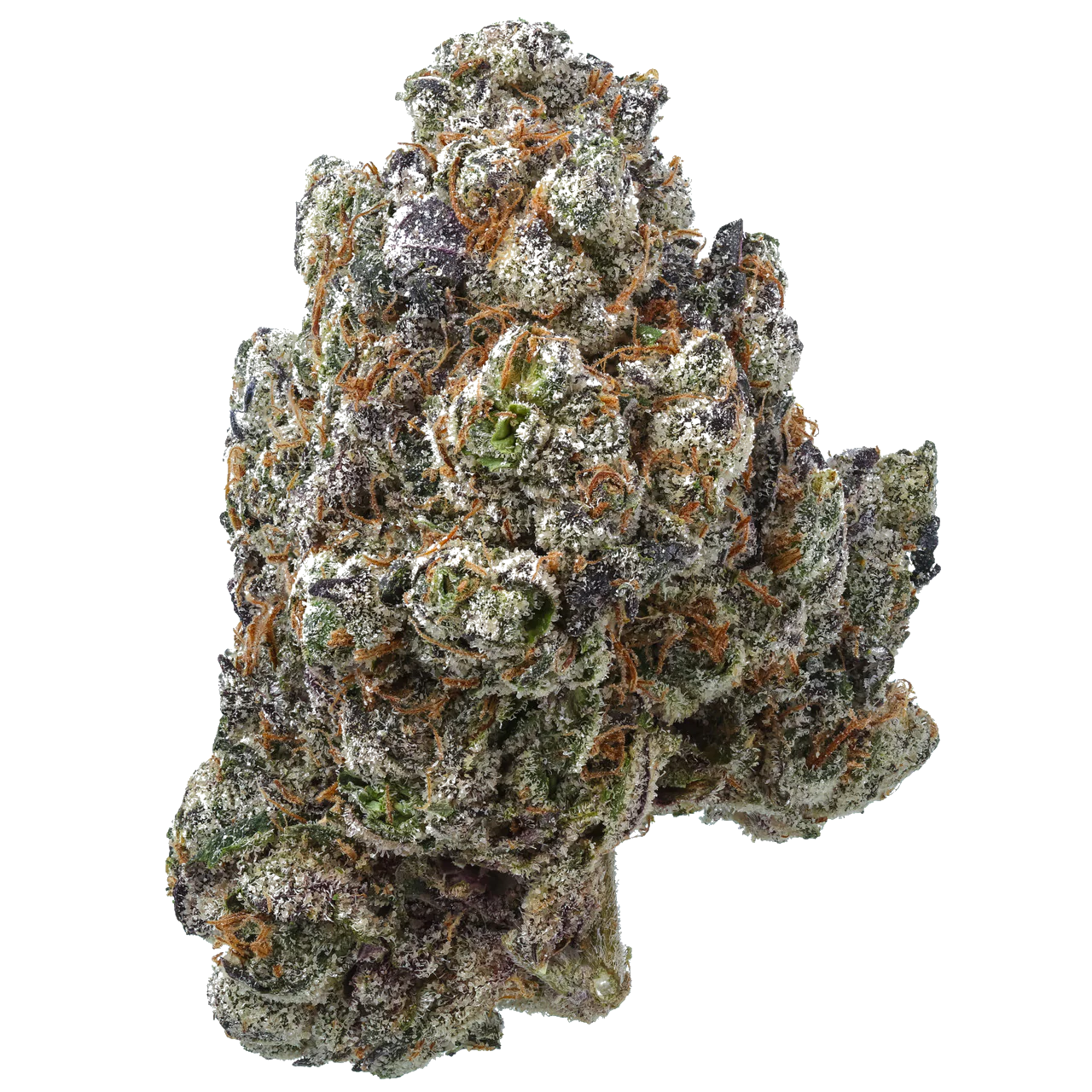 Ice Cream Breath x Shoreline