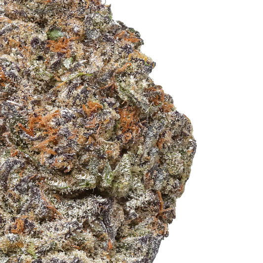 Close-up of Ice Cream Cake cannabis bud with purple, green, and orange trichomes