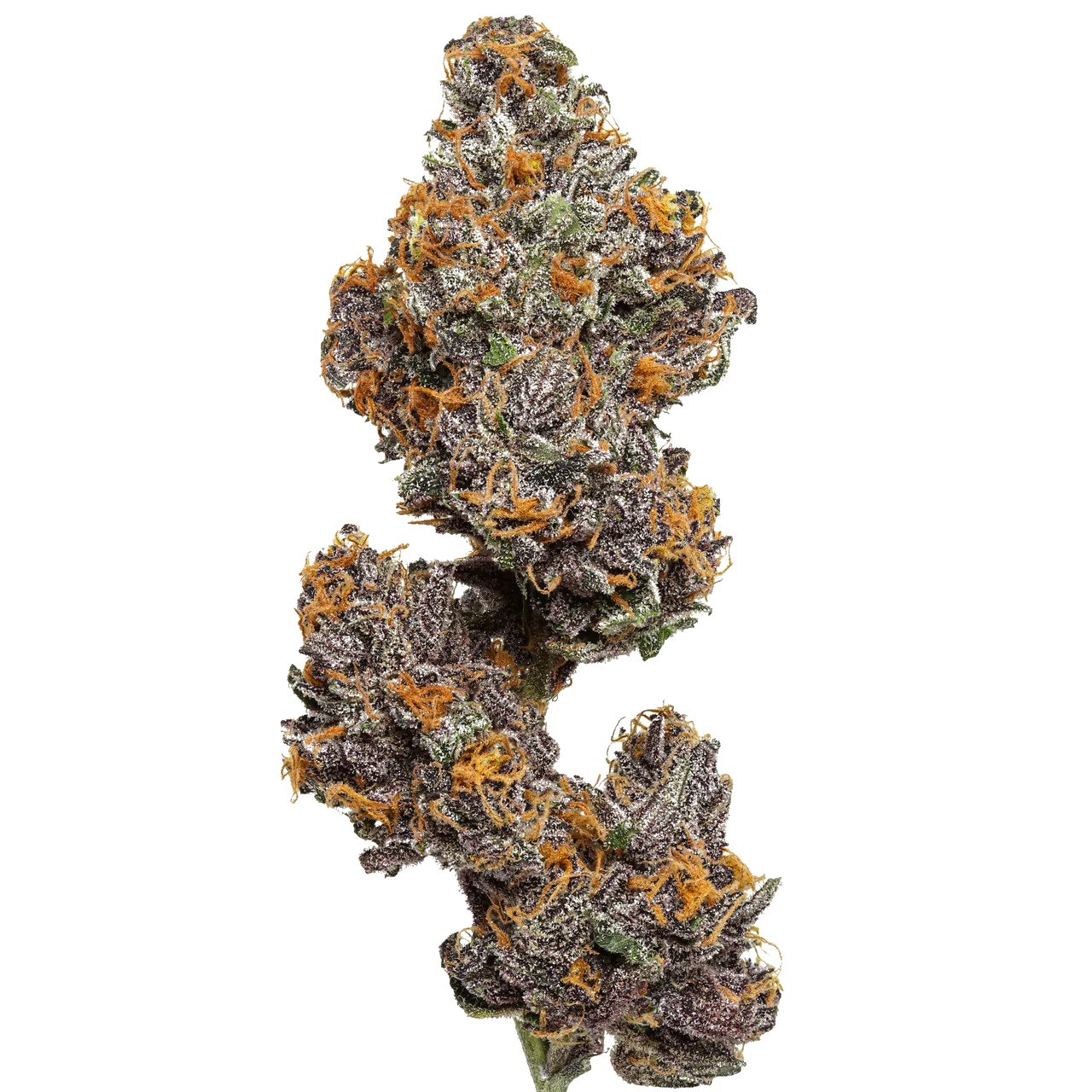 Legendary Platinum OG