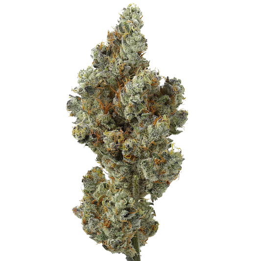 Lemon Cherry Sherbet