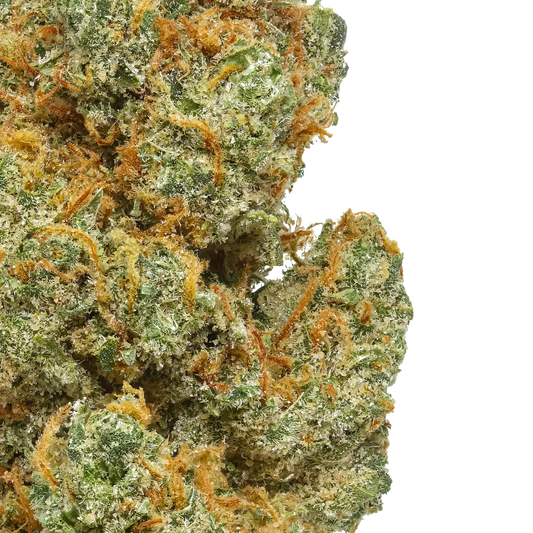 Close-up of Lemon Skunk cannabis bud with green, orange hairs and frosty trichomes
