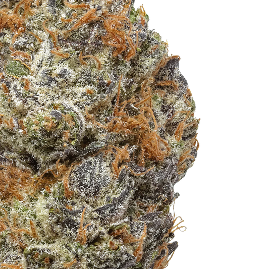 Close-up of Lucky Charms cannabis bud with frosty trichomes and orange hairs