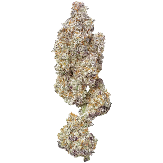 Dense MAC 1 cannabis bud with frosty trichomes and purple hues on white background