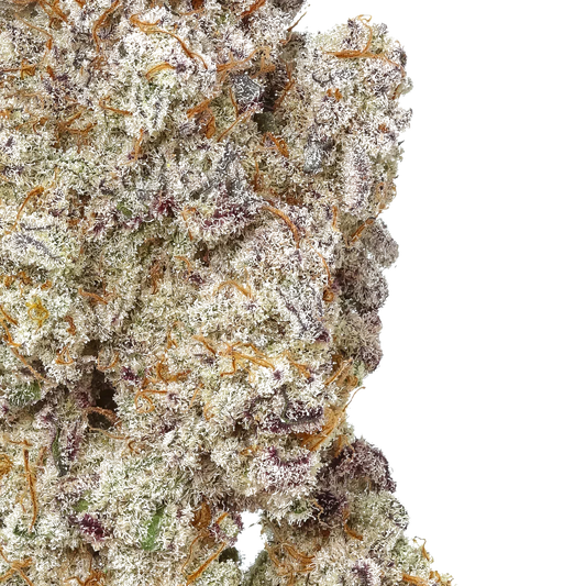 Close-up of frosty MAC 1 cannabis bud with purple hues and orange hairs