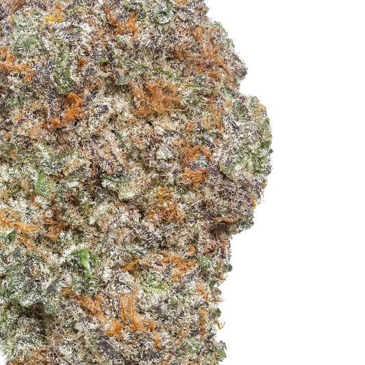 Close-up of frosty cannabis bud with orange hairs and green, purple hues on white background