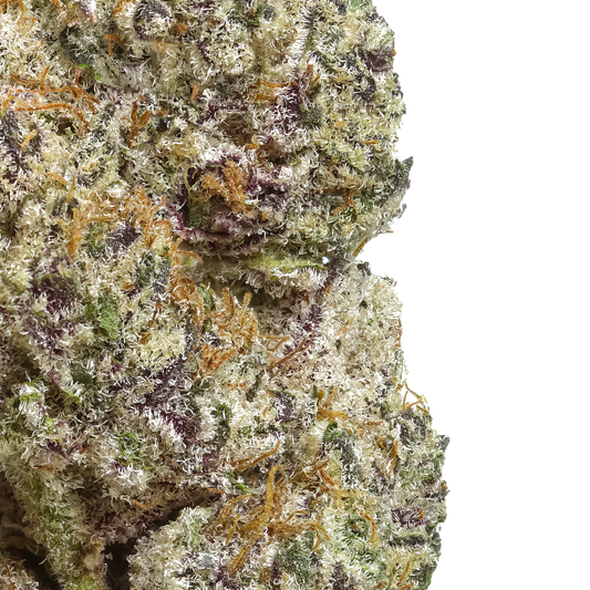 Close-up of frosty cannabis bud with purple and orange hairs on white background