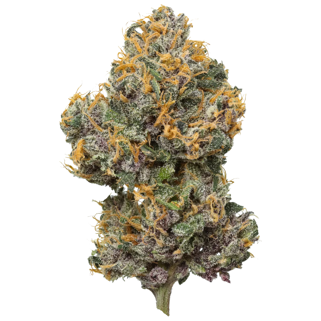 Mystic Mountain Blueberry