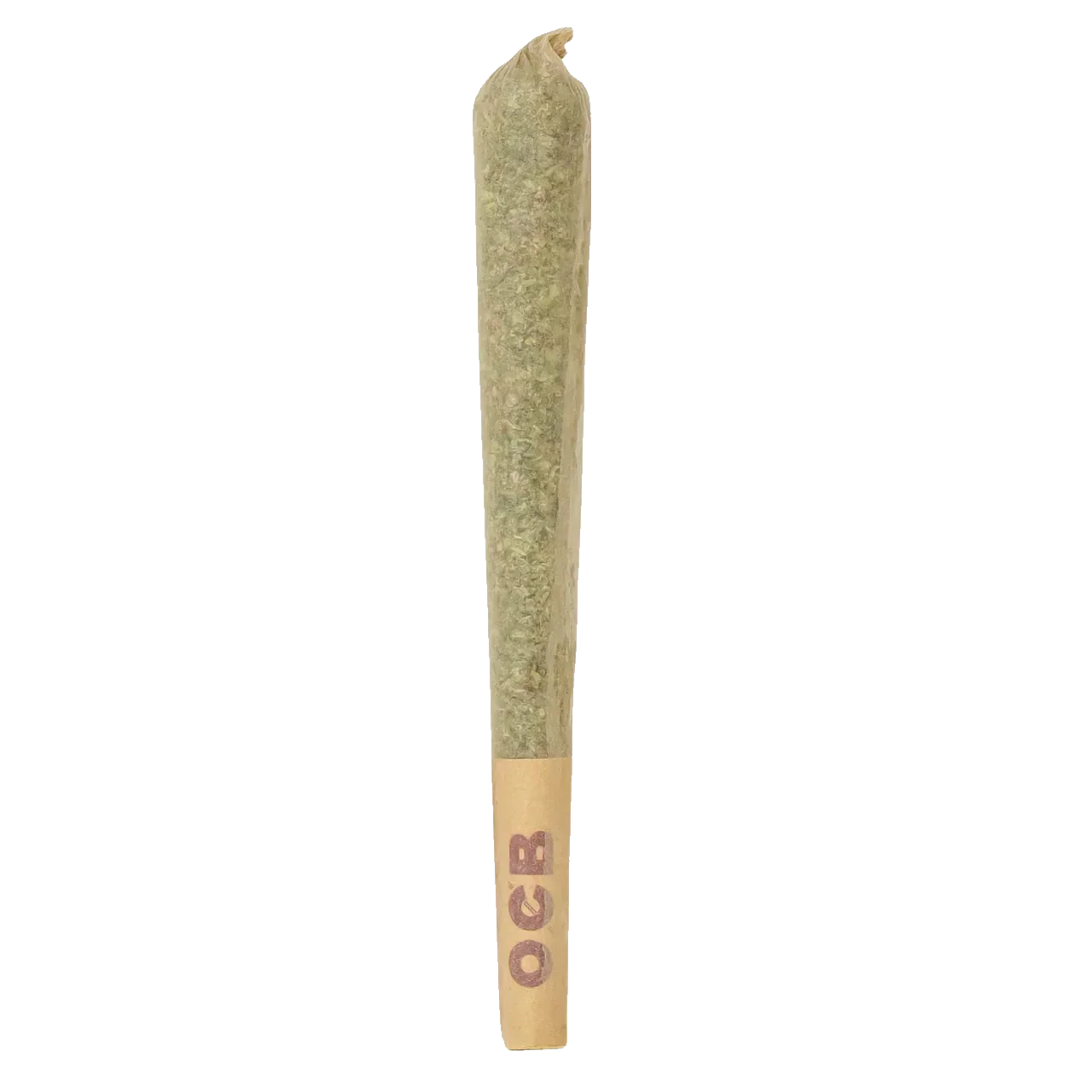 Northern Lights pre-roll joint with OCB filter on white background