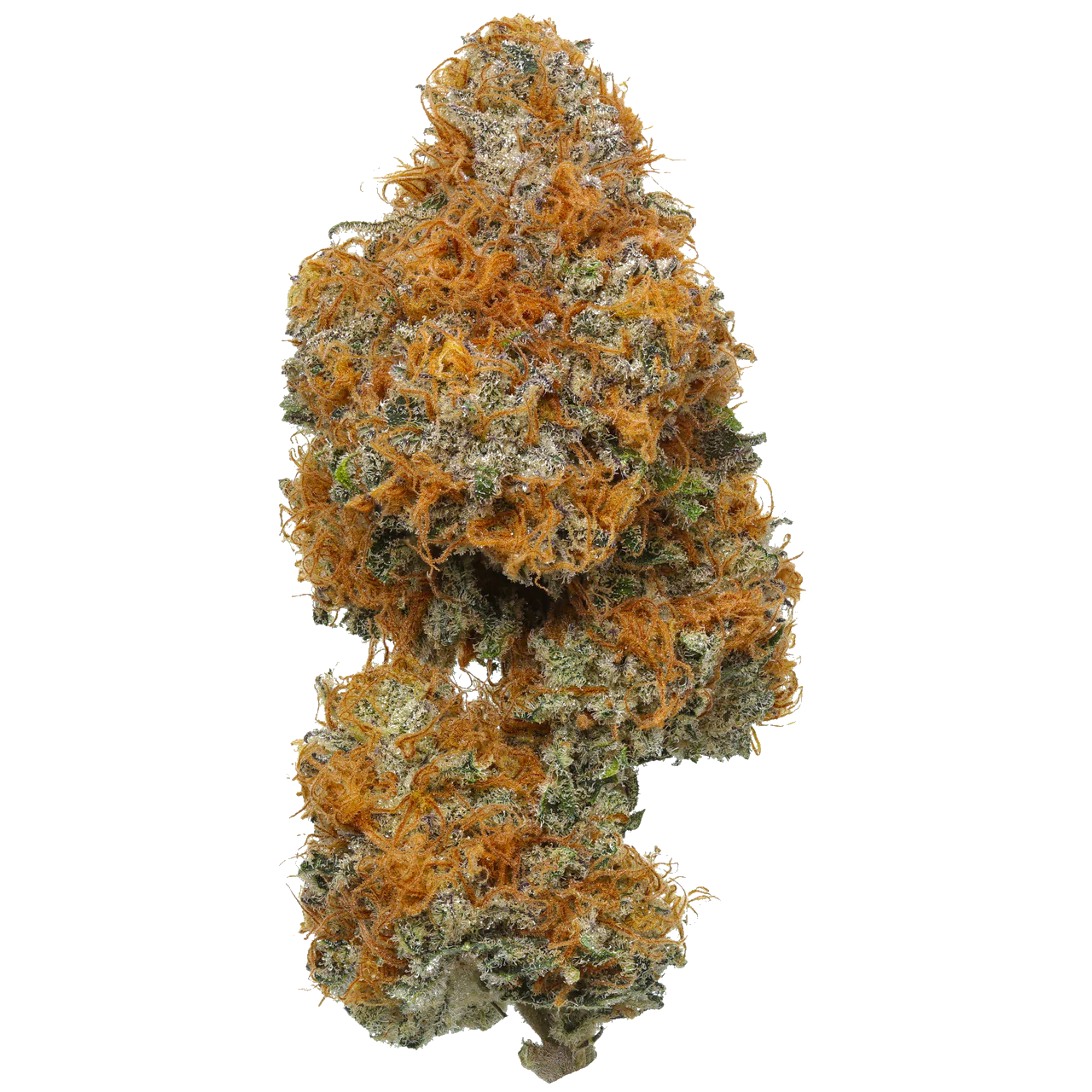 Orange Apricot MAC - Capulator