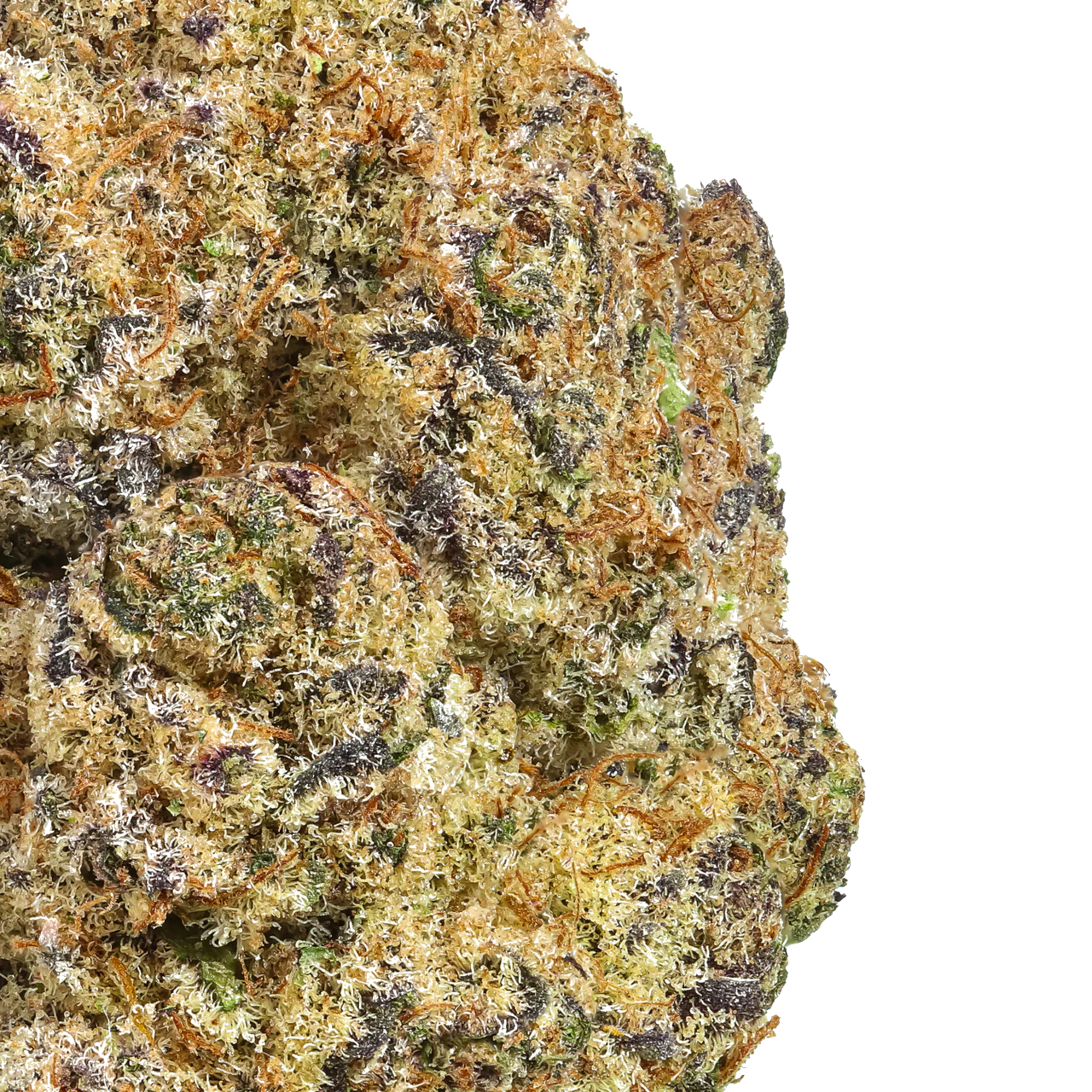 Papaya Punch