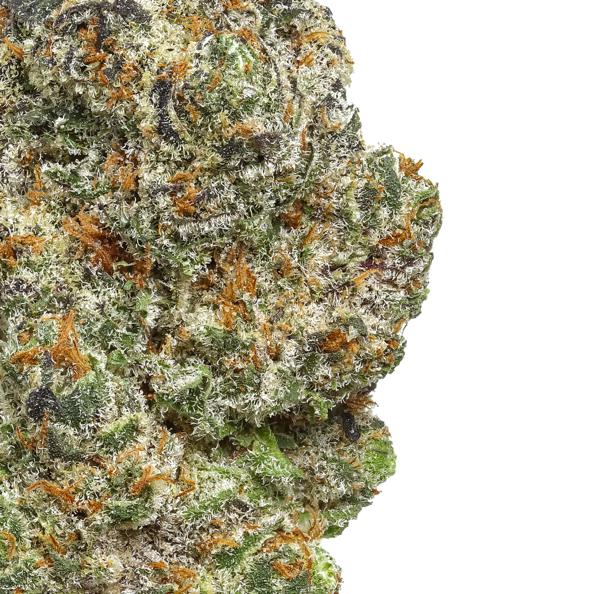 Platinum Lemon Cherry