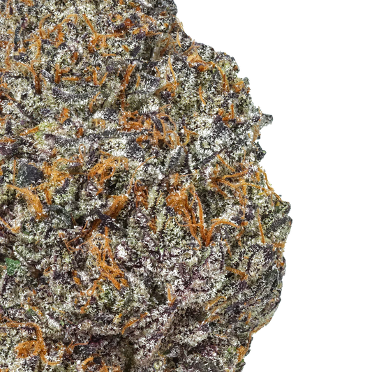 Macro shot of Purple Cream Cake cannabis bud with vibrant purple, green, and orange hairs