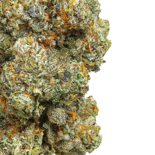 Close-up of dense cannabis bud with purple, green, and orange hairs on white background