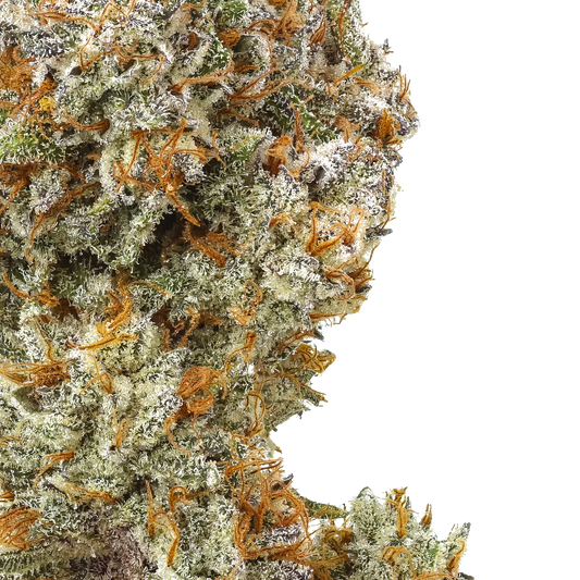 Close-up of Rainbow Pez cannabis bud with frosty trichomes and orange hairs