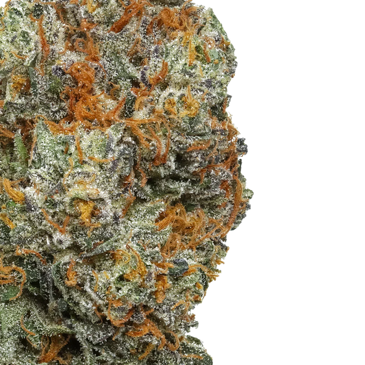 Close-up of Rainshadow Runtz cannabis bud with orange hairs and frosty trichomes