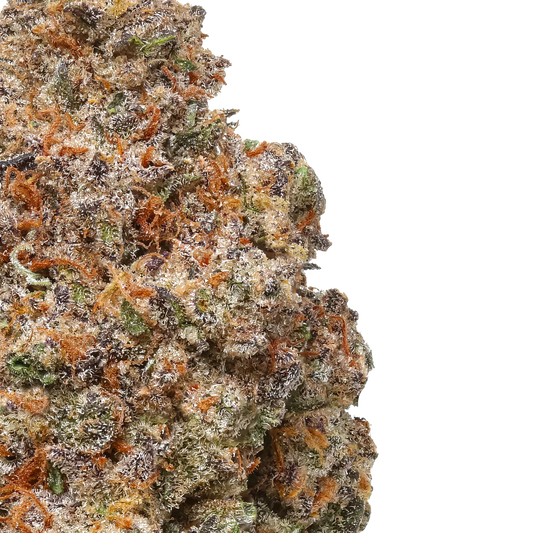 Close-up of Rancid Rainbow cannabis bud with frosty trichomes and orange hairs