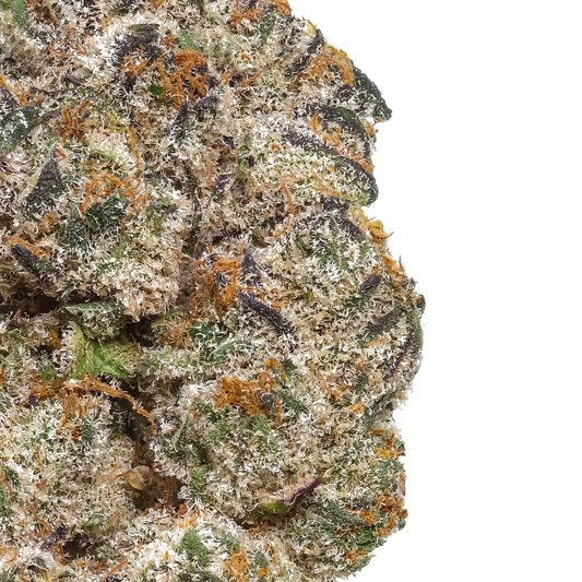 Close-up of frosty cannabis bud with orange hairs and purple accents on white background