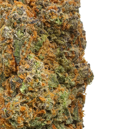 Close-up of cannabis bud with green, orange, and purple trichomes on white background