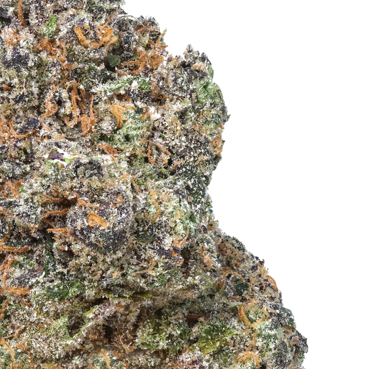 Close-up of frosty cannabis bud with orange hairs and purple, green hues on white background