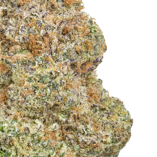 Close-up of frosty cannabis bud with orange hairs and purple, green trichomes on white background