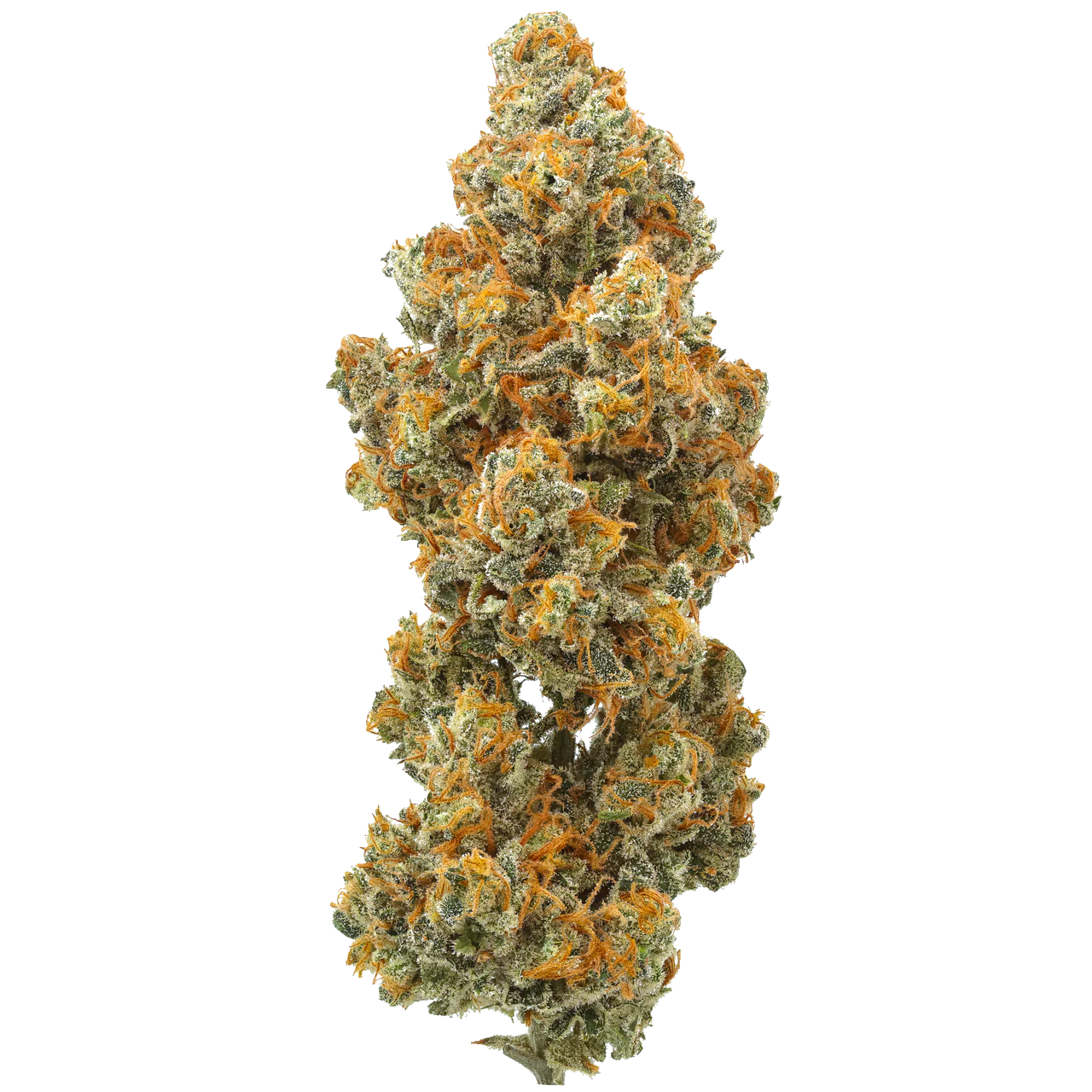 Strawberry Cough : Small Batch