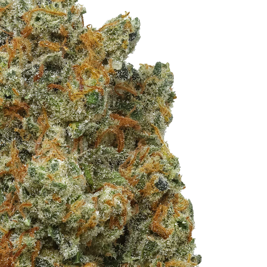 Close-up of frosty Strawberry Cough cannabis bud with orange hairs on white background