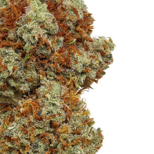Close-up of Super Lemon Haze cannabis bud with orange hairs and frosty trichomes