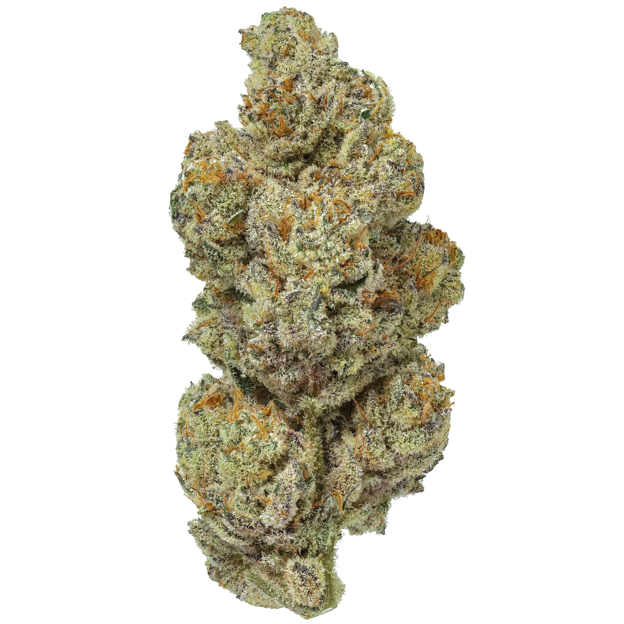 Tangerine Dream