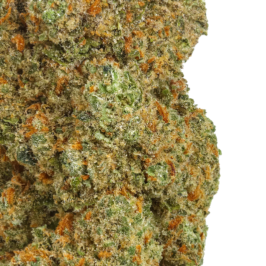 Close-up of Triple Sec cannabis bud with green, orange hairs and frosty trichomes