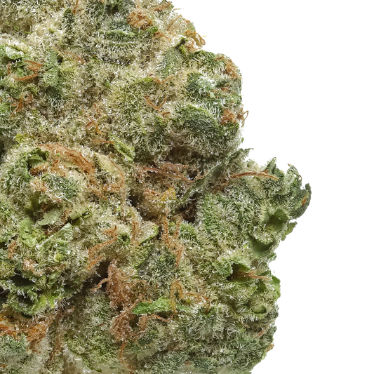 Close-up of frosty green cannabis bud with orange hairs against a white background