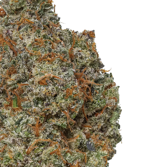 Closeup of Yak Butter cannabis bud with trichomes and orange hairs on white background