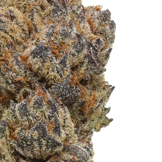 Close-up of frosty cannabis bud with purple hues and orange hairs on a white background