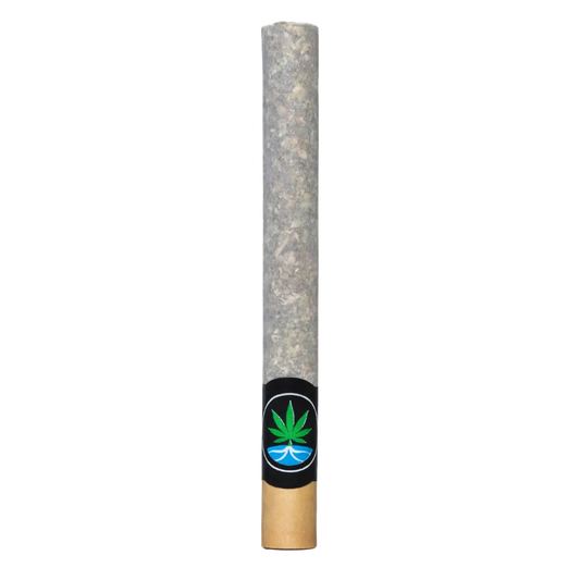 2g FlowRoll Preroll