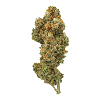 Acapulco Gold