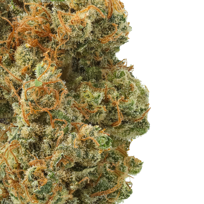 Acapulco Gold