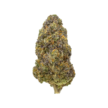 Blue Nerdz | Flow Gardens Blue Nerdz | Flow Gardens