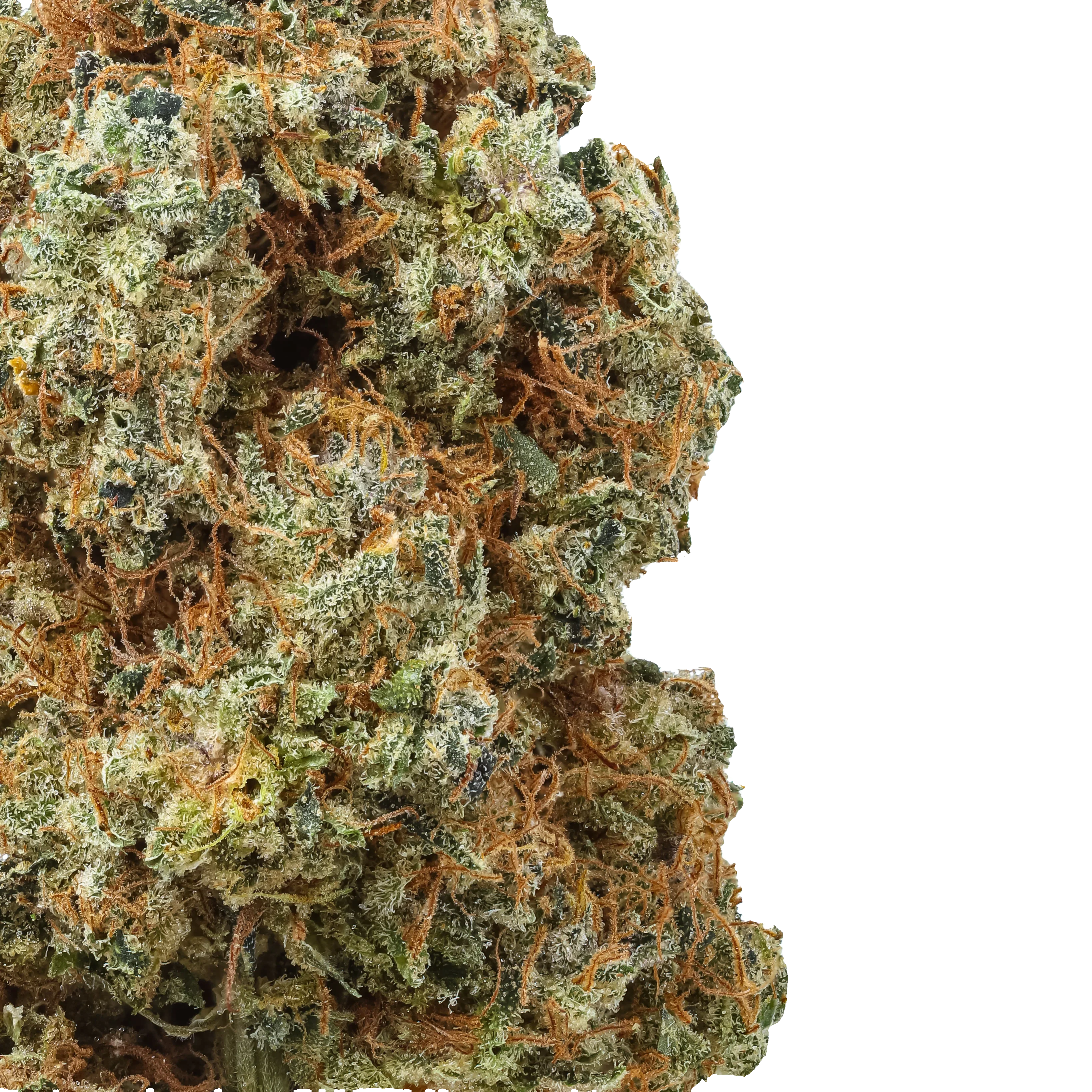 Hand-trimmed bud macro: structure, frost and trim quality up close