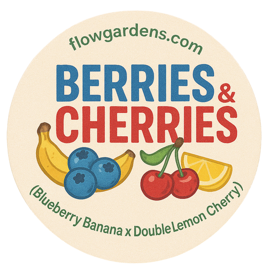 Berries & Cherries: Small Batch