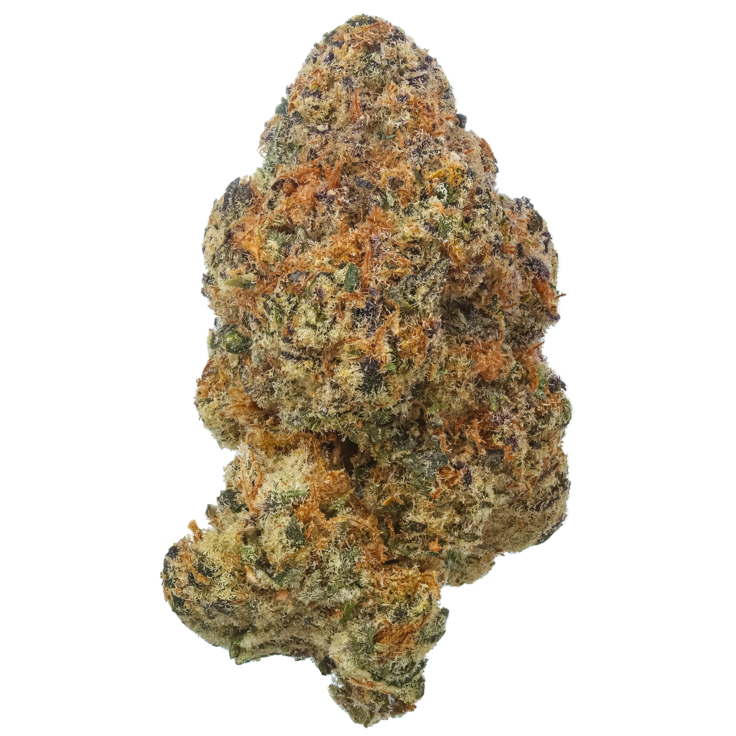 Black Baccara