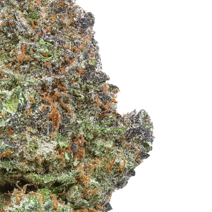 Blue Ritz