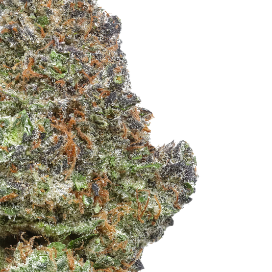 Blue Ritz
