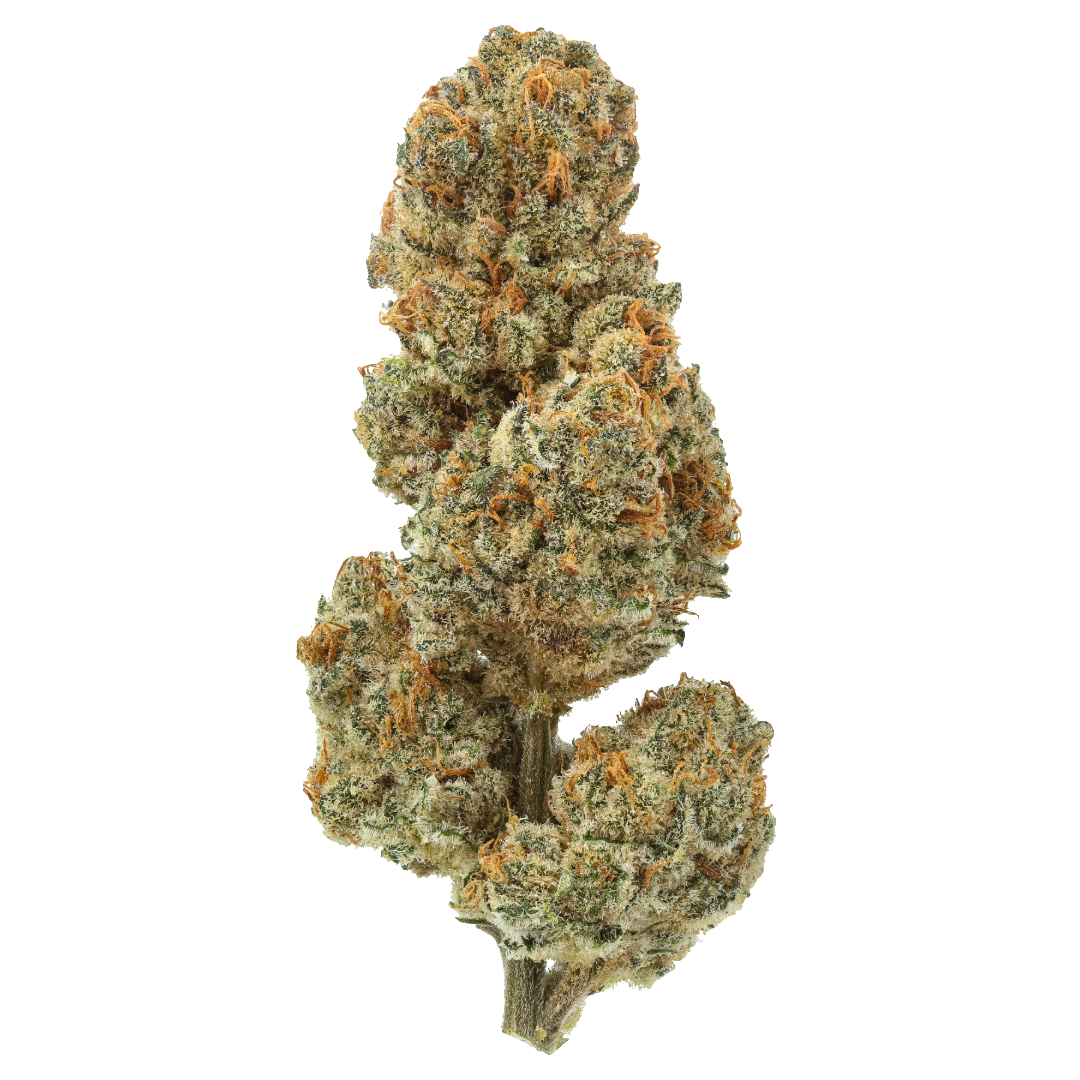 Blueberry Lobster : Small Batch