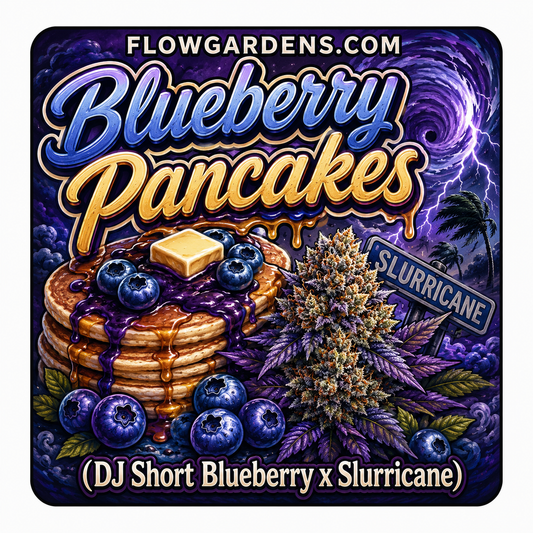 Blueberry Pancakes: Small Batch
