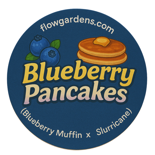 Blueberry Pancakes: Small Batch