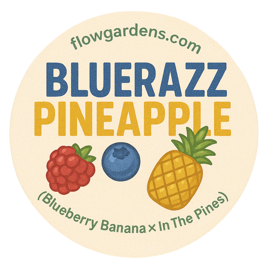 Blue Razz Pineapple: Small Batch