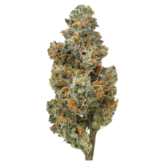 Bubblegum Chem (Caps Cut)