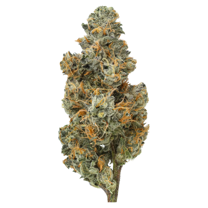 Bubblegum Chem (Caps Cut)